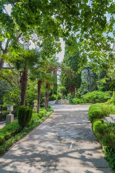 Garden landscape — Stock Photo, Image