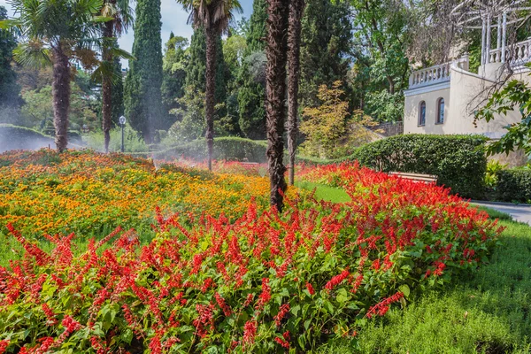 Сад ландшафт — стокове фото