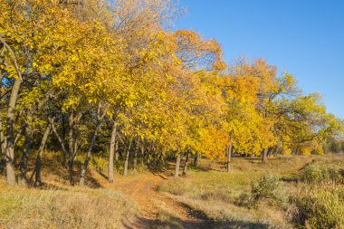 nehir kıyısında ahşap sonbahar
