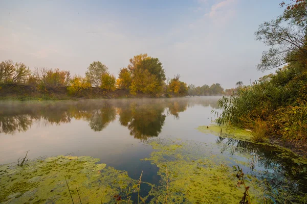 Herbstnebeltag auf einem Fluss. schöner Ort. — Stockfoto