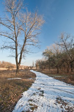 Sonbahar parkında yol