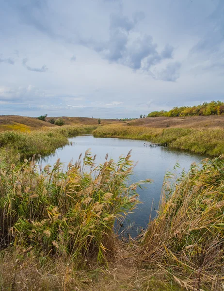 Autumn wood on the river bank — Stock Photo, Image