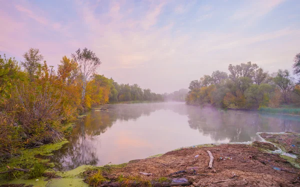 Bosque de otoño en la orilla del río — Foto de Stock