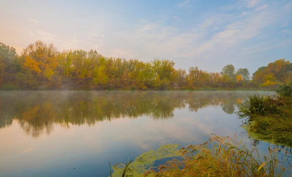 Herbstholz am Flussufer — Stockfoto