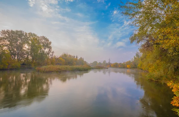 Bosque de otoño en la orilla del río — Foto de Stock