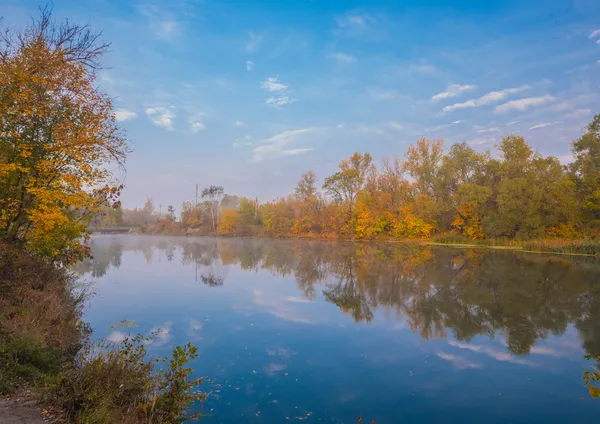 Bosque de otoño en la orilla del río — Foto de Stock