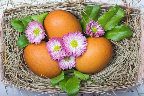 Пасхальные яйца на деревянном столе — стоковое фото