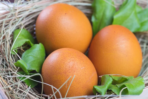 Ovos de Páscoa na mesa de madeira — Fotografia de Stock
