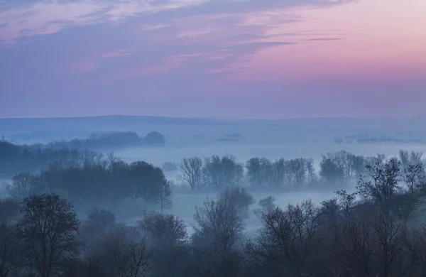 Frühlingsnebel — Stockfoto