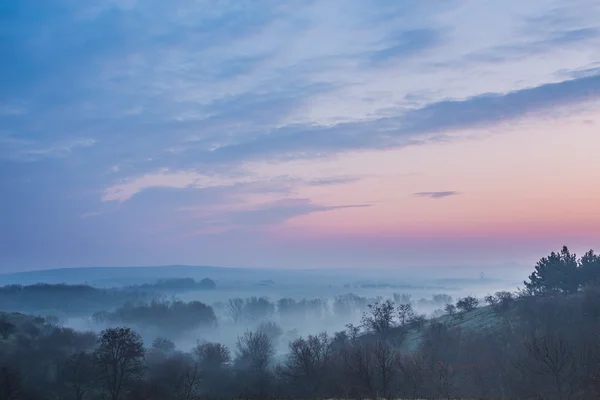Весенний туман — стоковое фото