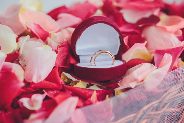 Imagem de anéis de casamento em uma caixa de presente — Fotografia de Stock