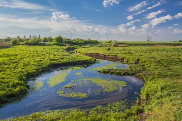 Mañana de primavera — Foto de Stock