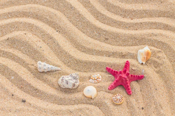 Starfish and wave on the sandy beach — Stock Photo, Image