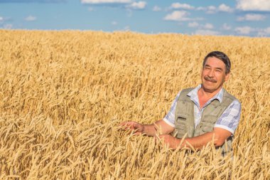 Bir buğday tarlasında duran çiftçi