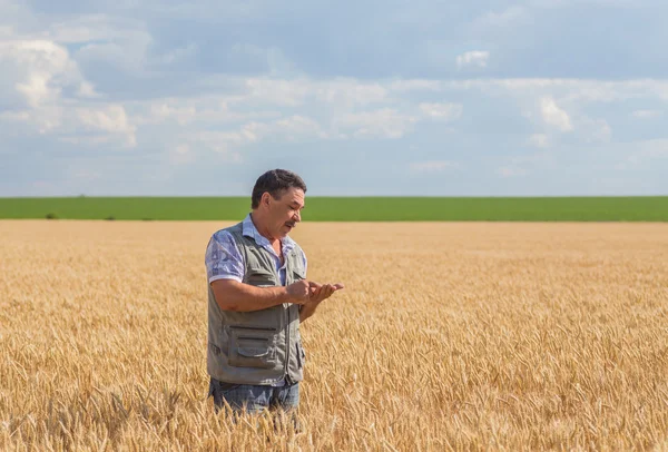 Farmer standing in a wheat field — Stock Photo, Image