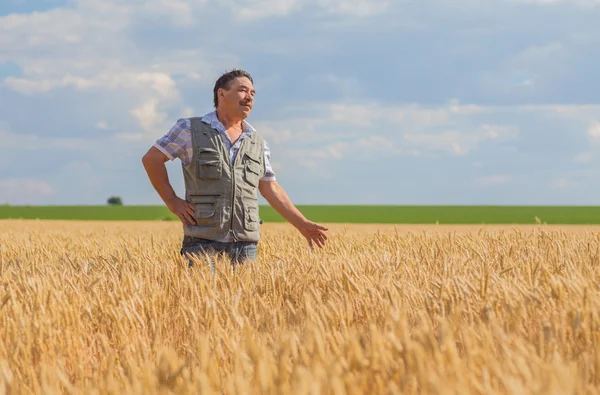 Agricoltore in piedi in un campo di grano — Foto Stock