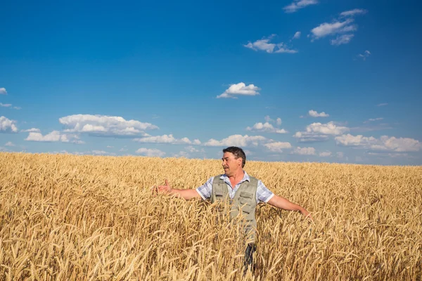 Boer die op een tarweveld staat — Stockfoto