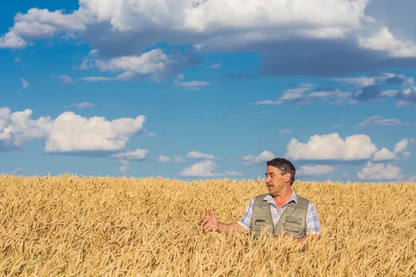 Agricoltore in piedi in un campo di grano — Foto Stock