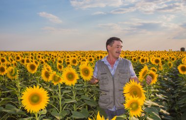 Ayçiçeği seyir çiftçi