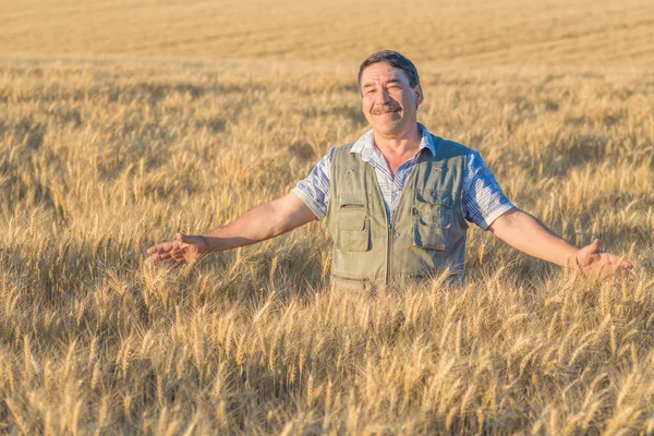 Agricultor em pé num campo de trigo — Fotografia de Stock