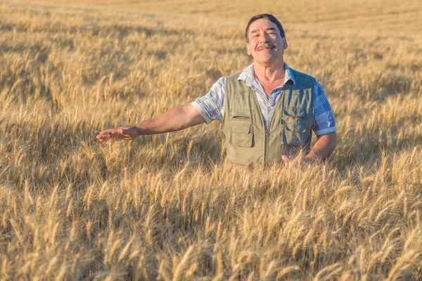 Agricoltore in piedi in un campo di grano — Foto Stock