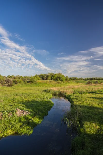 Green grass, river and clouds — Stock Photo, Image