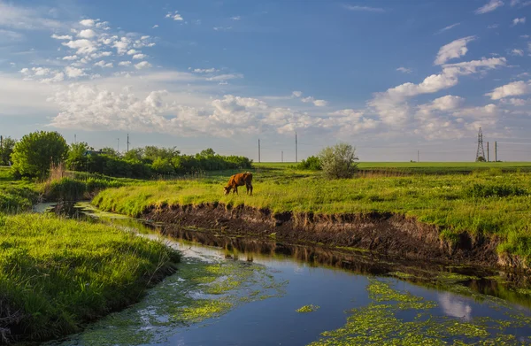 Hierba verde, río y nubes — Foto de Stock