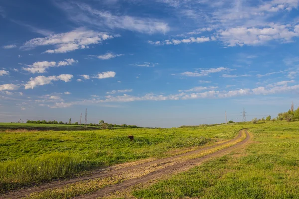 Paesaggio estivo con campo di grano — Foto Stock