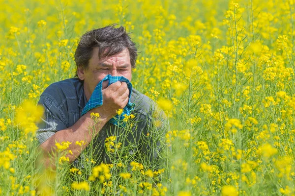 Man in field — Stock Photo, Image