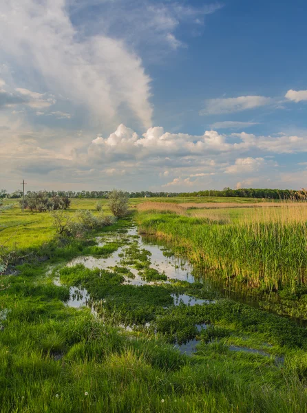 Зелена трава, річка і хмари — стокове фото