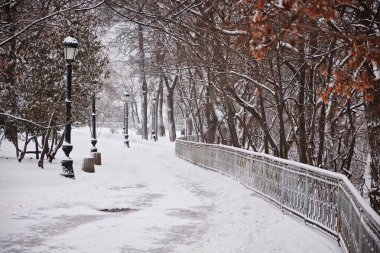 Kış parkındaki banklı buz gibi kar yolu. Karla kaplı ağaçlar. Temiz havada yürüyorum. Kyiv, Mariinskyi Parkı