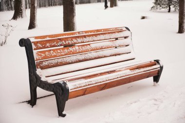 Kışın karlı havada parkta turuncu bir bank. Kyiv, Mariinskyi Parkı
