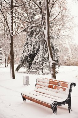 Kışın karlı havada parkta turuncu bir bank. Kyiv, Mariinskyi Parkı