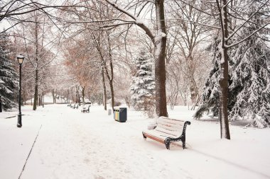 Kışın karlı havada parkta kırmızı banklar. Kyiv, Mariinskyi Parkı
