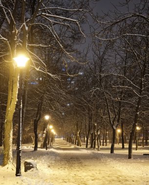 Gece kenti kış parkı karlı kar ve karla kaplı ağaçlarla kaplı - gece karlı manzarası