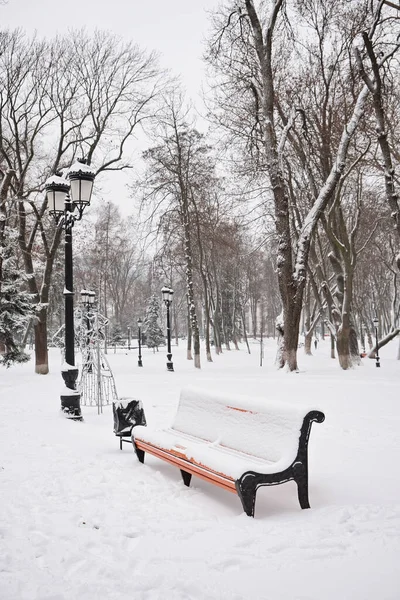 Banc Orange Dans Parc Dans Neige Hiver Kiev Mariinskyi Park — Photo