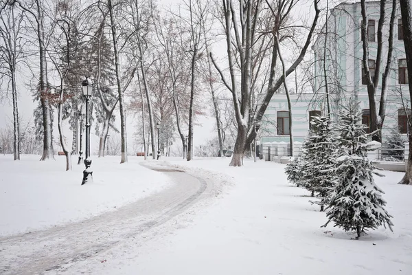 Ruelle Neige Givrée Dans Parc Hiver Avec Des Bancs Arbres — Photo