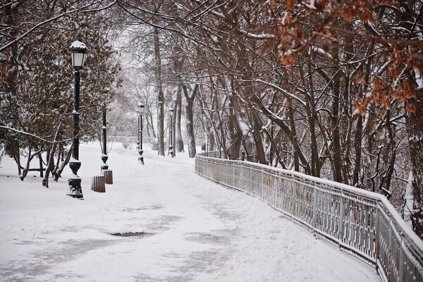 Frosty snow alley in the winter Park with benches. Trees covered with snow. Walking in the fresh air. Kyiv, Mariinskyi Park