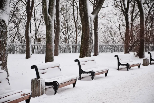Row Red Benches Park Snow Winter Kyiv Mariinskyi Park — Stock Photo, Image