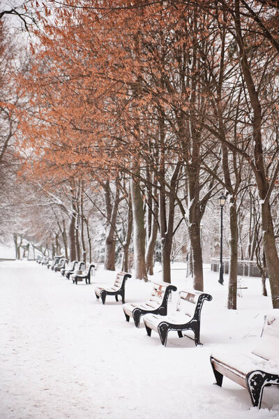 Row of red benches in the park in the snow in winter. Kyiv, Mariinskyi Park