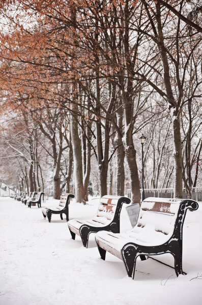 Row of red benches in the park in the snow in winter. Kyiv, Mariinskyi Park