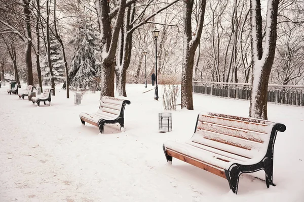 Ряд Красных Скамеек Парке Зимой Снегу Киев Мариинский Парк — стоковое фото