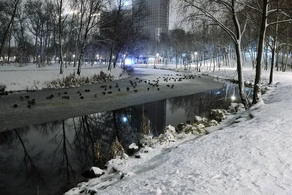 Linternas Abeto Cubierto Nieve Parque Invierno Ciudad — Foto de Stock