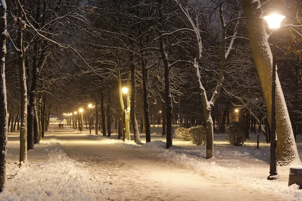 夜市冬季公园下着雪 树上覆盖着霜冻和白雪 冬夜雪景 — 图库照片