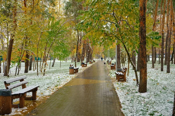 五彩缤纷的城市公园里下了第一场雪 在小巷的长椅上 树下长满了金黄色 橙色的叶子 覆盖着白雪 — 图库照片