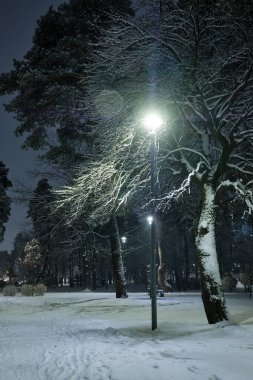 Akşamları karla kaplı bir kış parkı.
