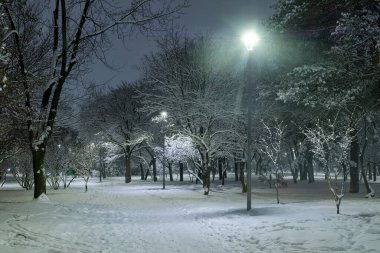 Akşamları karla kaplı bir kış parkı.