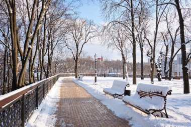 Kış parkındaki banklı buz gibi kar yolu. Karla kaplı ağaçlar. Temiz havada yürüyorum. Kyiv, Hughmirskaya Gorka Parkı.