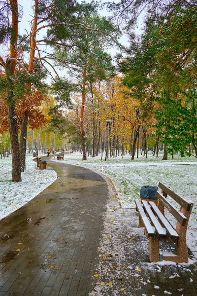 五彩缤纷的城市公园里下了第一场雪 在小巷的长椅上 树下长满了金黄色 橙色的叶子 覆盖着白雪 — 图库照片