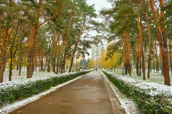 Jesienny Widok Park Zimowy Pierwszy Śnieg Jesiennym Mieście Jesienna Pierwsza — Zdjęcie stockowe